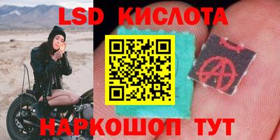 прущие крисы Бузулук