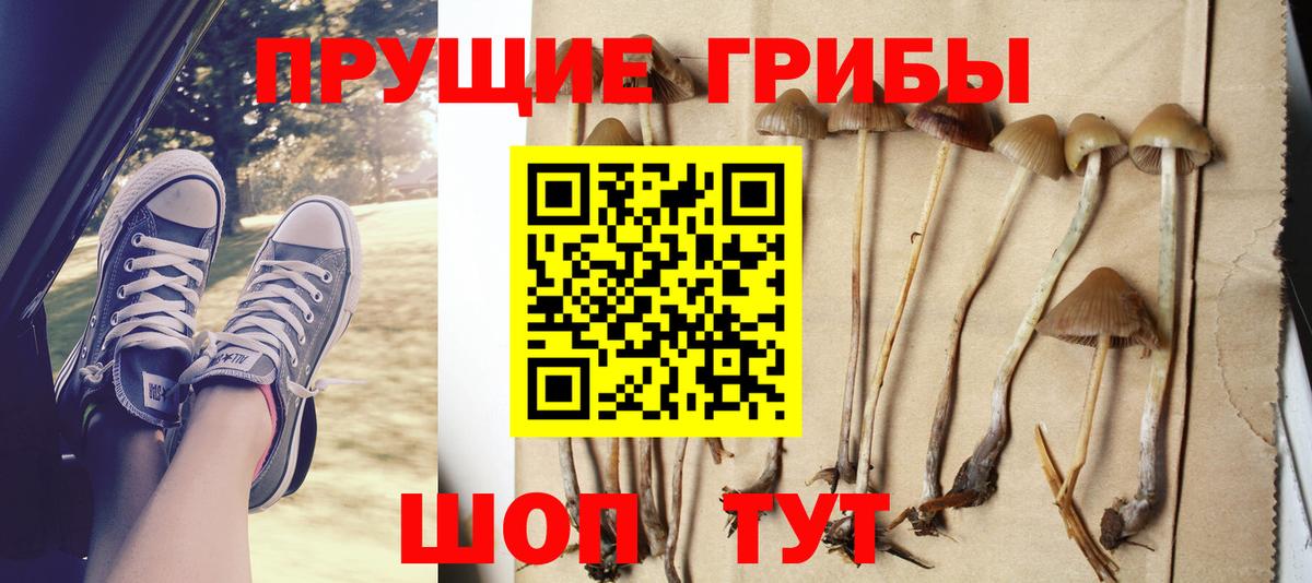 Чапаевск  Галлюциногенные грибы MAGIC MUSHROOMS  Галлюциногенные грибы прущие грибы  Вход с VPN 